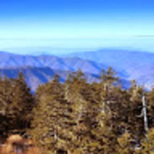 Meet your Posher, Rita